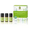 Image de Primavera Trousse à pharmacie parfumée Coffret parfum 1000 ml