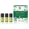 Image de Primavera Puissance parfumée de la forêt Coffret parfum 1000 ml