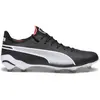 Image de Puma, Hommes, Chaussures de football, King Ultimate Fg/Ag (42.5), Noir