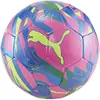 Image de Puma, Ballon de football, (5)