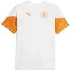 Image de Puma T-shirt à Manches Courtes Entraînement Manchester City Fc 23/24