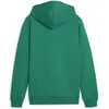 Image de Puma, Garçons, Pull-over, teamGOAL Casuals Hoody Jr, Vert, (164)