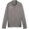 Image de Puma, Femmes, Vestes de survêtement, teamGOAL Veste d'entraînement Wmn (XS), Gris, XS