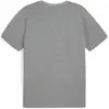 Image de Puma, Hommes, T-shirt de sport, Tee teamGOAL Casuals (S), Gris, S