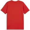 Image de Puma, Hommes, T-shirt de sport, Tee teamGOAL Casuals (M), Rouge, M