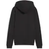 Image de Puma, Femmes, Vestes de survêtement, teamGOAL Casuals Veste à capuche Wmn (XS), Noir, XS
