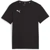 Image de Puma, Garçons, T-shirt de sport, teamGOAL Casuals Tee Jr (164), Noir, 164
