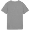 Image de Puma, Garçons, T-shirt de sport, teamGOAL Casuals Tee Jr (152), Gris, 152