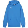 Image de Puma, Garçons, Pull-over, teamGOAL Casuals Hoody Jr, Bleu, (128)