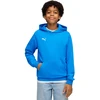 Image de Puma Sweat à Capuche Teamgoal Casuals