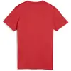 Image de Puma, Femmes, T-shirt de sport, teamGOAL Jersey Wmn (S), Rouge, S