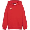 Image de Puma, Unisexe, Pull-over, teamGOAL Casuals Hoody Jr, Rouge, (116)