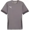 Image de Puma, Hommes, T-shirt de sport, teamGOAL Matchday Jersey (S), Gris, S