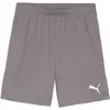 Image de Puma, Hommes, Bas de sport, teamGOAL Short (M), Gris