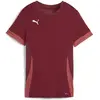Image de Puma, Femmes, T-shirt de sport, teamGOAL Matchday Jersey Wmns (XS), Rouge, XS