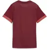 Image de Puma, Femmes, T-shirt de sport, teamGOAL Matchday Jersey Wmns (L), Rouge, L