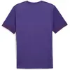 Image de Puma, Hommes, T-shirt de sport, teamGOAL Matchday Jersey (M), Violet, M