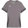 Image de Puma, Femmes, T-shirt de sport, teamGOAL Matchday Jersey Wmns (L), Gris, L