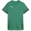 Image de Puma, Femmes, T-shirt de sport, teamGOAL Matchday Jersey Wmns (M), Vert, M