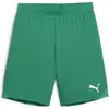 Image de Puma, Garçons, Bas de sport, teamGOAL Short Jr (140), Vert