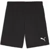 Image de Puma, Hommes, Bas de sport, teamGOAL Short (L), Noir