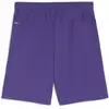Image de Puma, Hommes, Bas de sport, teamGOAL Short (M), Violet