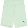 Image de Puma, Garçons, Bas de sport, teamGOAL Short Jr (164), Vert