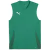 Image de Puma, Hommes, T-shirt de sport, teamGOAL Maillot sans manches (L), Vert, L