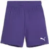 Image de Puma, Garçons, Bas de sport, teamGOAL Short Jr (164), Violet