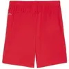Image de Puma, Hommes, Bas de sport, TeamGoal (XS), Blanc, Rouge