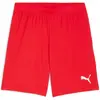 Image de Puma, Hommes, Bas de sport, teamGOAL Short (L), Rouge