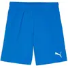 Image de Puma, Hommes, Bas de sport, teamGOAL Short (XL), Bleu