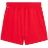 Image de Puma, Femmes, Bas de sport, teamGOAL Shorts Wmns (L), Rouge