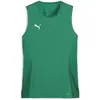 Image de Puma, Femmes, T-shirt de sport, teamGOAL Maillot sans manches Wmns (S), Vert, S
