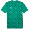 Image de Puma, Hommes, T-shirt de sport, teamGLORY Jersey (S), Vert, S