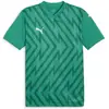 Image de Puma, Hommes, T-shirt de sport, teamGLORY Jersey (L), Vert, L