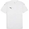 Image de Puma, Hommes, T-shirt de sport, teamGLORY Jersey (L), Bleu, L