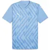Image de Puma, Hommes, T-shirt de sport, teamGLORY Jersey (L), Blanc, L