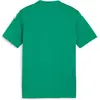 Image de Puma, Garçons, T-shirt de sport, teamGLORY Jersey Jr (140), Vert, 140