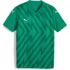 Image de Puma, Garçons, T-shirt de sport, teamGLORY Jersey Jr (164), Vert, 164