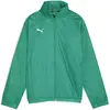 Image de Puma, Garçons, Vestes de survêtement, teamGOAL Veste Allweather Jr (152), Vert, 152