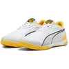 Image de Puma Chaussures De Futsal Ibero Iv