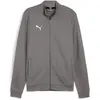 Image de Puma, Hommes, Vestes de survêtement, teamGOAL Casual Tracktop (XL), Gris, XL