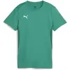 Image de Puma, Femmes, T-shirt de sport, teamGOAL Jersey Wmn (S), Vert, S
