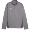 Image de Puma, Garçons, Vestes de survêtement, teamGOAL Veste d'entraînement Jr (140), Gris, 140