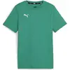 Image de Puma, Garçons, T-shirt de sport, teamGOAL Casuals Tee Jr (116), Vert, 116
