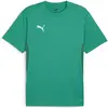 Image de Puma, Hommes, T-shirt de sport, teamGOAL Jersey (M), Vert, M
