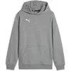 Image de Puma, Garçons, Pull-over, teamGOAL Casuals Hoody Jr, Gris, (116)