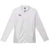 Image de Puma, Hommes, Vestes de survêtement, Veste d'entraînement teamGOAL (XL), Blanc, XL