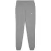 Image de Puma, Femmes, Bas de sport, teamGOAL Casuals Pants Wmn (L), Gris